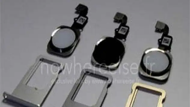iPhone 6'nın renkleri belli oldu