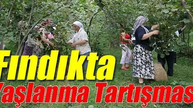 Fındıkta Yaşlanma Tartışması