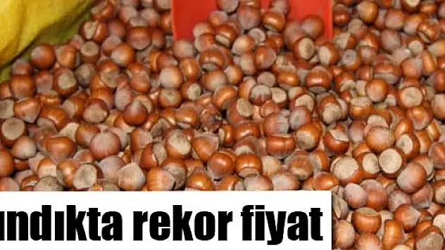 Fındıkta rekor fiyat
