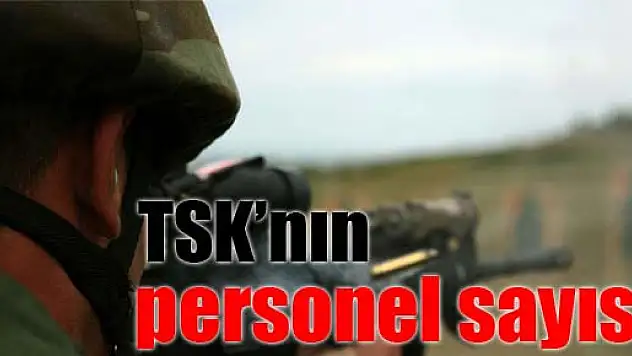 İşte TSK'nın personel sayısı