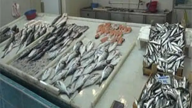 Balıkçılar umduklarını bulamadı