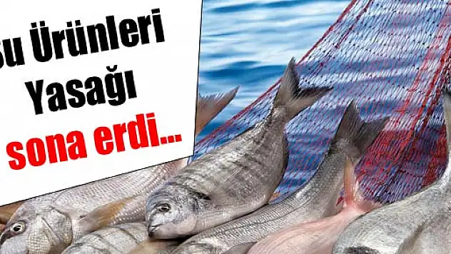Su Ürünleri Yasağı sona erdi…