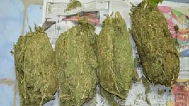 SAMSUN'DA UYUŞTURUCU OPERASYONU