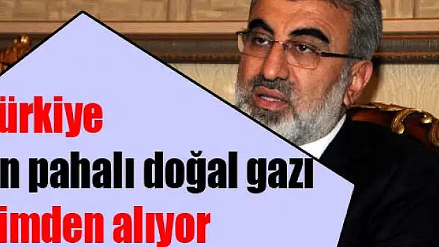 Türkiye en pahalı doğal gazı kimden alıyor?