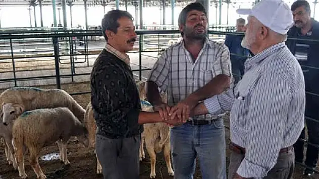 Kurbanlıklar Ne Kadar?