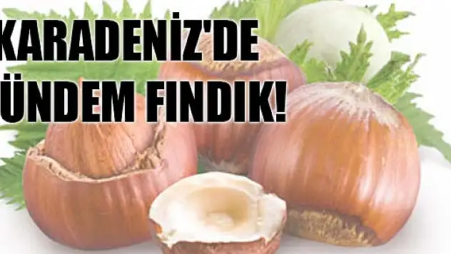  Samsun TSO Başkanı Zeki Murzioğlu, ' Maalesef bu sene hava 