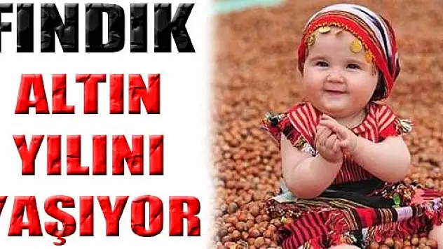 Fındık 'altın' yılını yaşıyor!