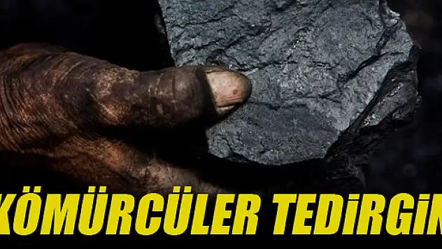Doğalgaz kömürcüleri tedirgin ediyor