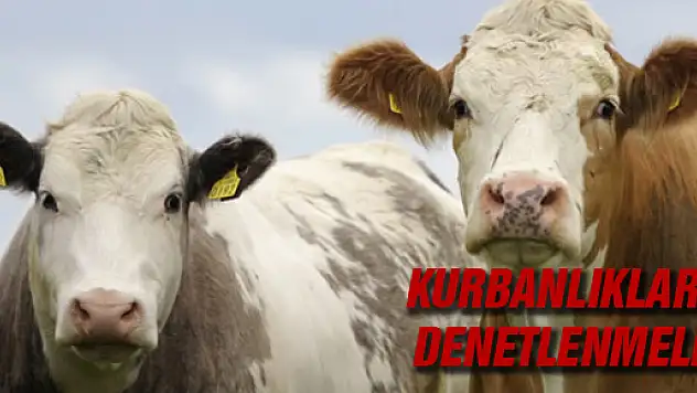 Köksal: 'Kurbanlıklar Sağlık Kontrolünden Geçirilmeli'