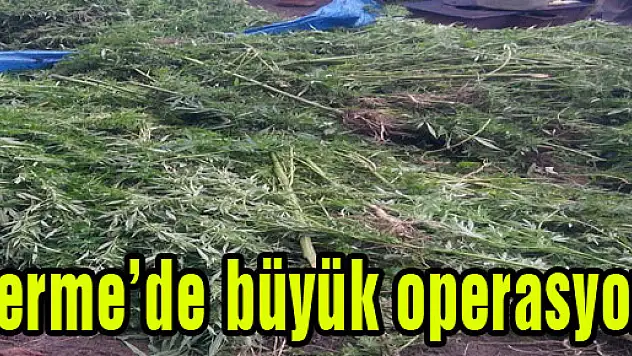 Terme'de büyük operasyon