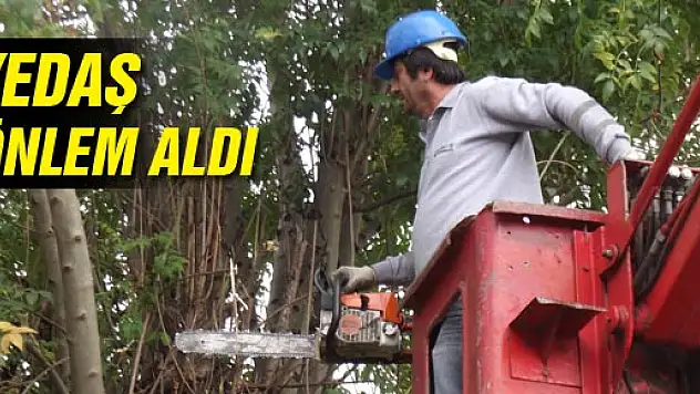 YEDAŞ, Vatandaşları uyardı: Ağaçları kesin!