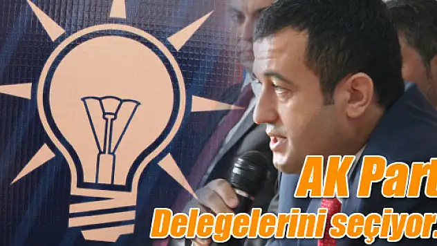 AK Parti Delege Seçimlerine gidiyor