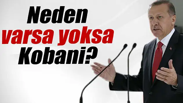 Cumhurbaşkanı Erdoğan: 'Neden varsa yoksa Kobani?'
