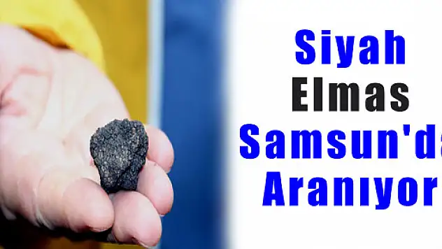 Siyah Elmas Samsun'da Aranıyor 