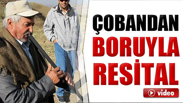 Kavalsız çoban 5 yıldır boru üflüyor