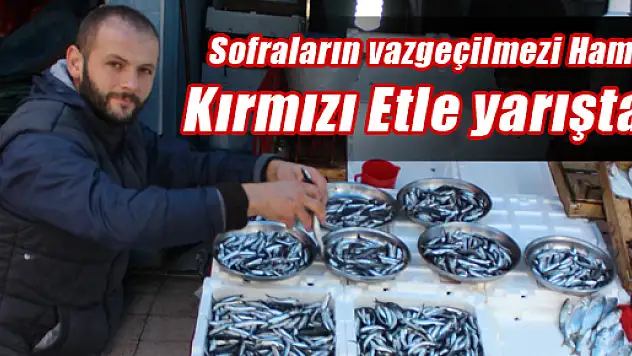 Sofraların Prensi Hamsi, Kırmızı ete yeniliyor mu?