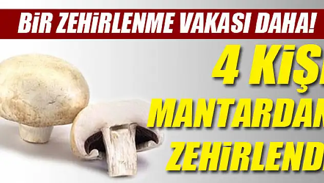 4 Kişi Mantardan Zehirlendi