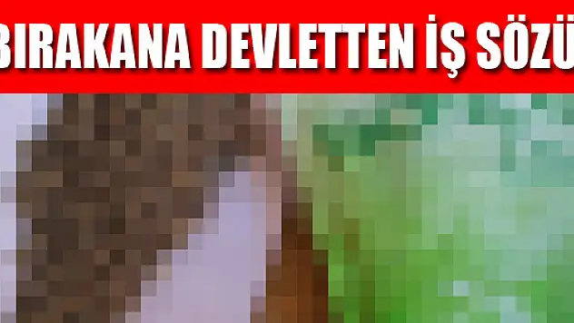 Bırakana Devletten İş Sözü