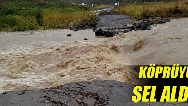 Çatak Köprüsü Yıkıldı