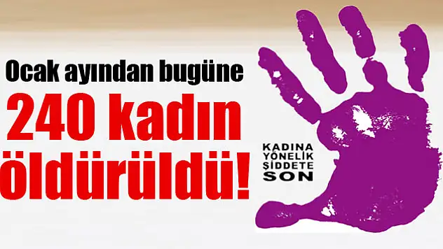 Ocak ayından bugüne 240 kadın öldürüldü