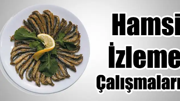 HAMSİ İZLEME ÇALIŞMALARI