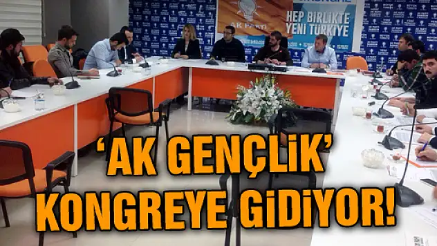 AK Parti Samsun İl Gençlik Kolları'nda Kongre