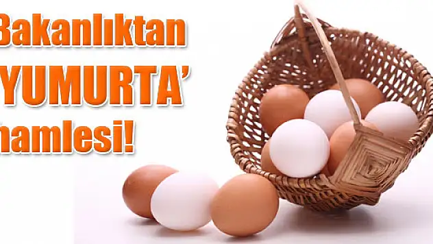 Bakanlıktan 'yumurta' hamlesi