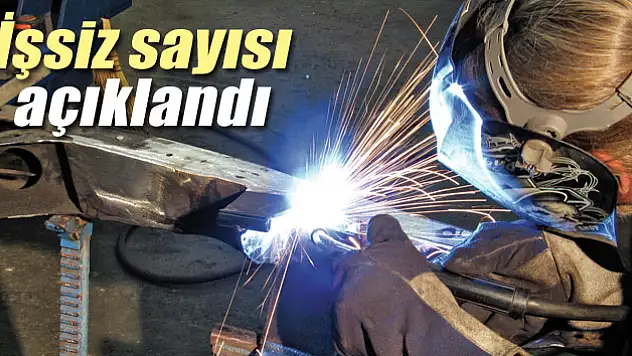 İstihdam ve işsiz sayısı arttı