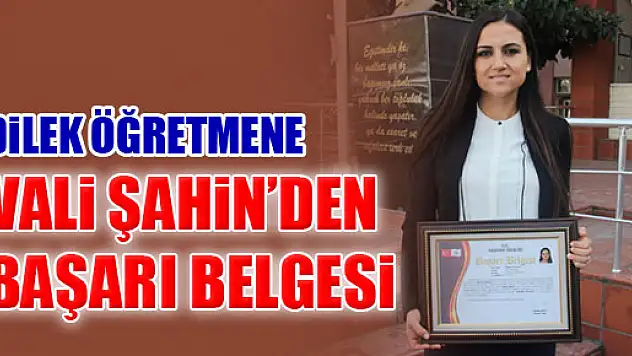 Dilek Öğretmene Vali Şahin'den tebrik