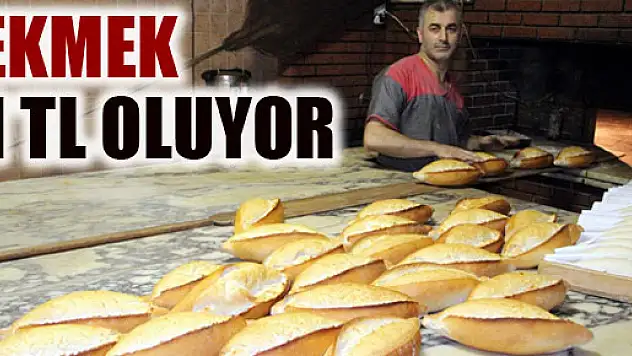 2015'DE EKMEK 1 LİRA