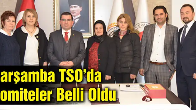 Çarşamba TSO'da komiteler belli oldu