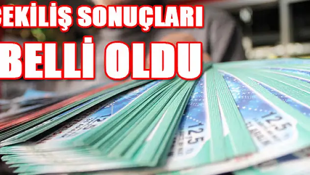 Milli Piyango yılbaşı çekilişi 2015 sonuçları belli oldu