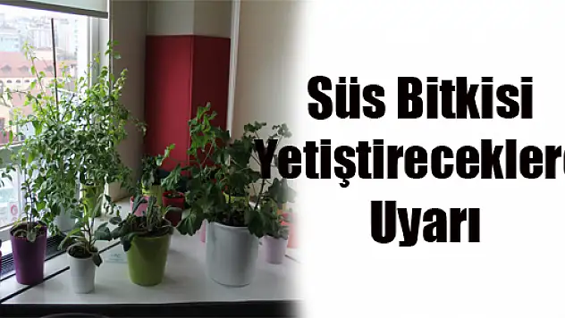 Süs Bitkisi Yetiştireceklere Uyarı