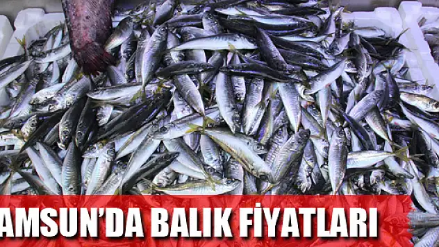 SAMSUN'DA BALIK FİYATLARI 