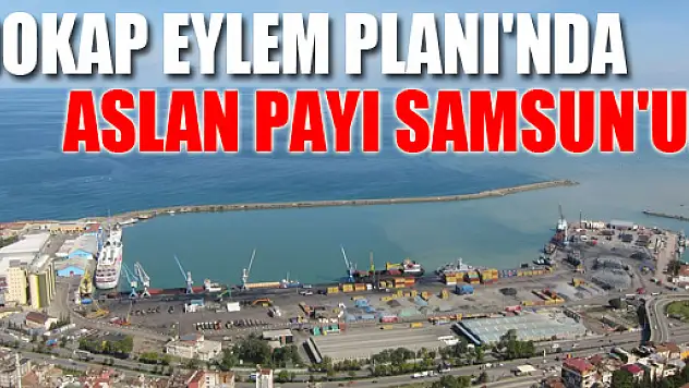 DOKAP EYLEM PLANI'NDA ASLAN PAYI SAMSUN'UN