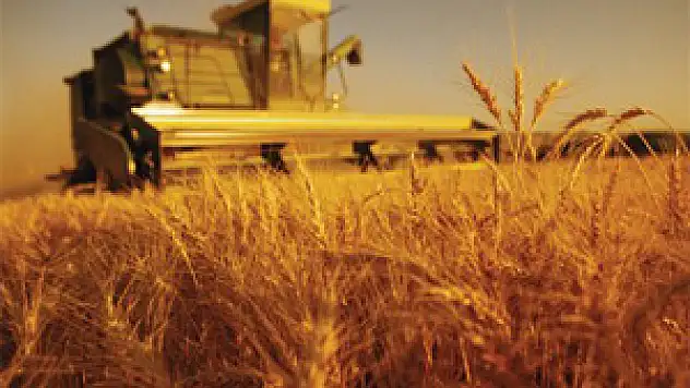 Tarımda istihdam düşüşte