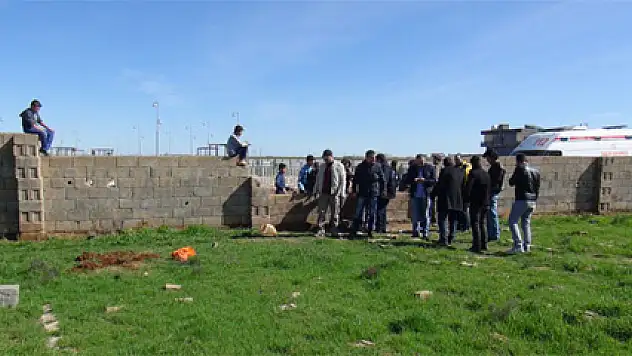 Kızıltepe'de 2-3 aylık iki cenin bulundu