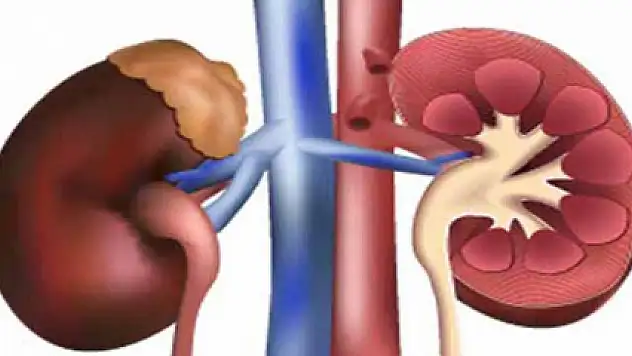 60 bin kişi nakil bekliyor