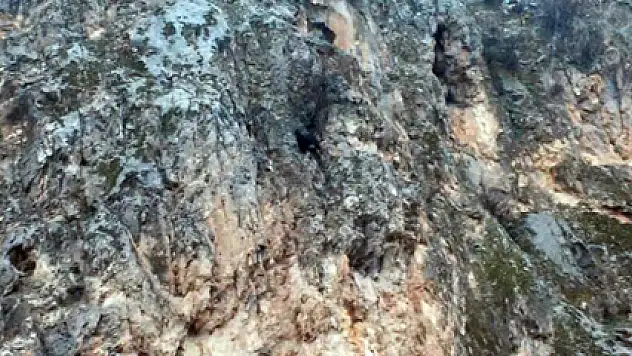 Dağda mahsur kalan keçi bir haftadır kurtarılmayı bekliyor