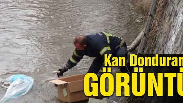 Kars'ta derede bebek cesedi bulundu