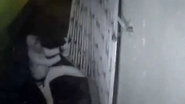 Demir korkulukları elleriyle söktü