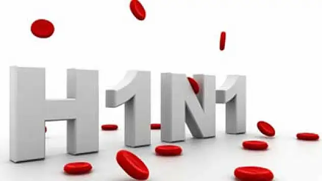 CHP domuz gribiyle ilgili Meclis araştırması istedi