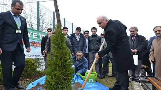 Bafra'da Ağaç Bayramı Etkiliği