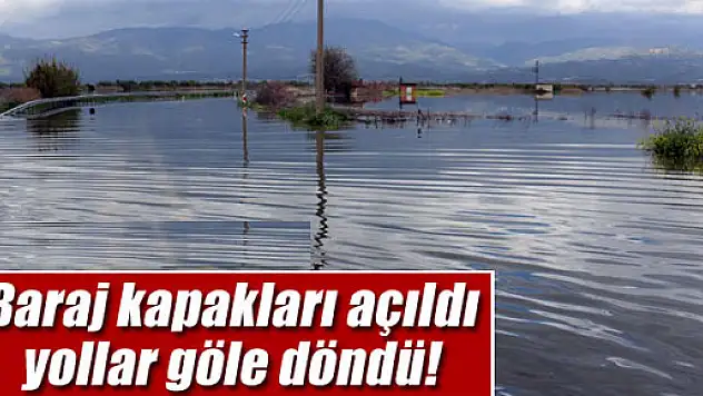 Aydın'da baraj kapakları açılınca yollar göle döndü