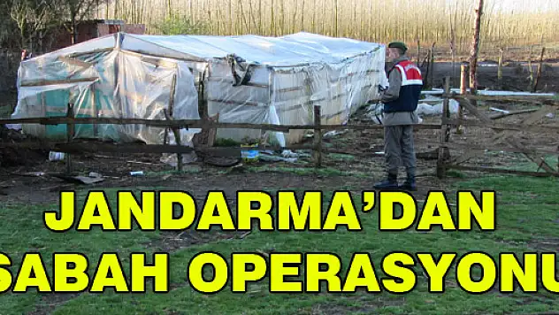 Jandarma'dan sabah operasyonu