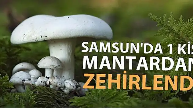 Mantar Yiyen 1 Kişi Zehirlendi