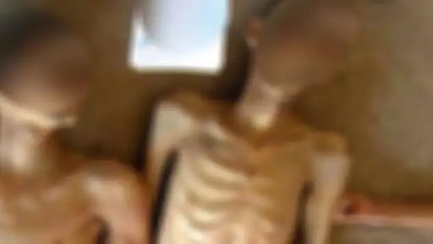 Binlerce Suriyelinin cenazesi boş arazilere bırakılıyor