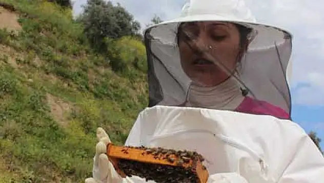 Kraliçe arı üretiminin kraliçesi oldu