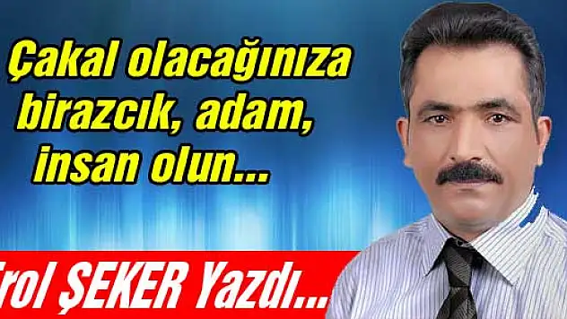 Çakal olacağınıza birazcık, adam, insan olun...