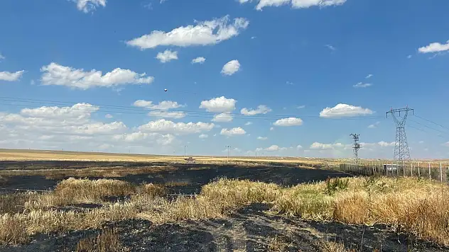 35 dekarlık alandaki buğday ekili tarlada yangın